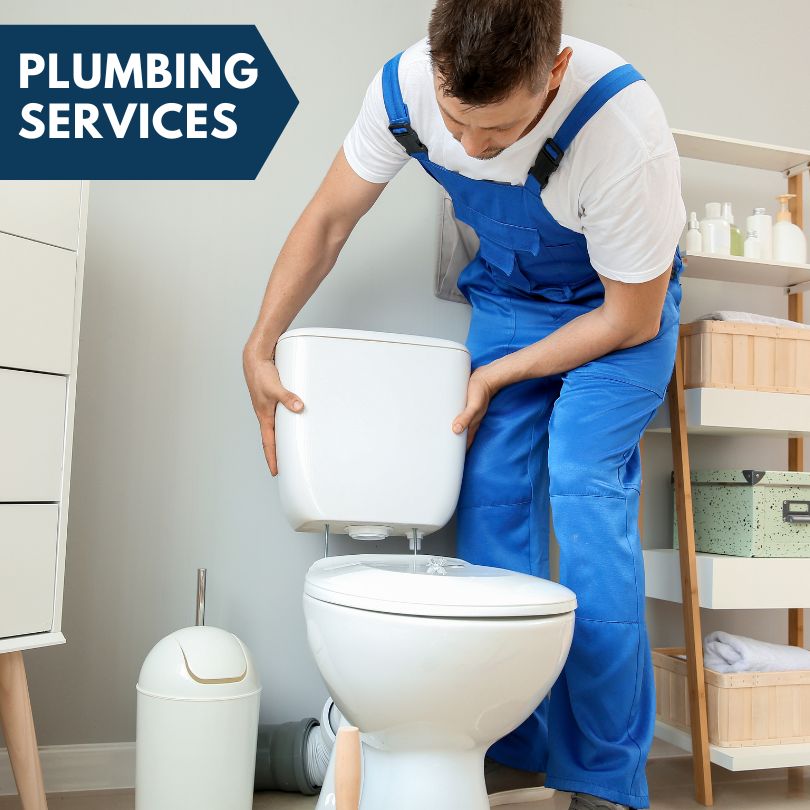 Plumbing Company in Lake George, CO